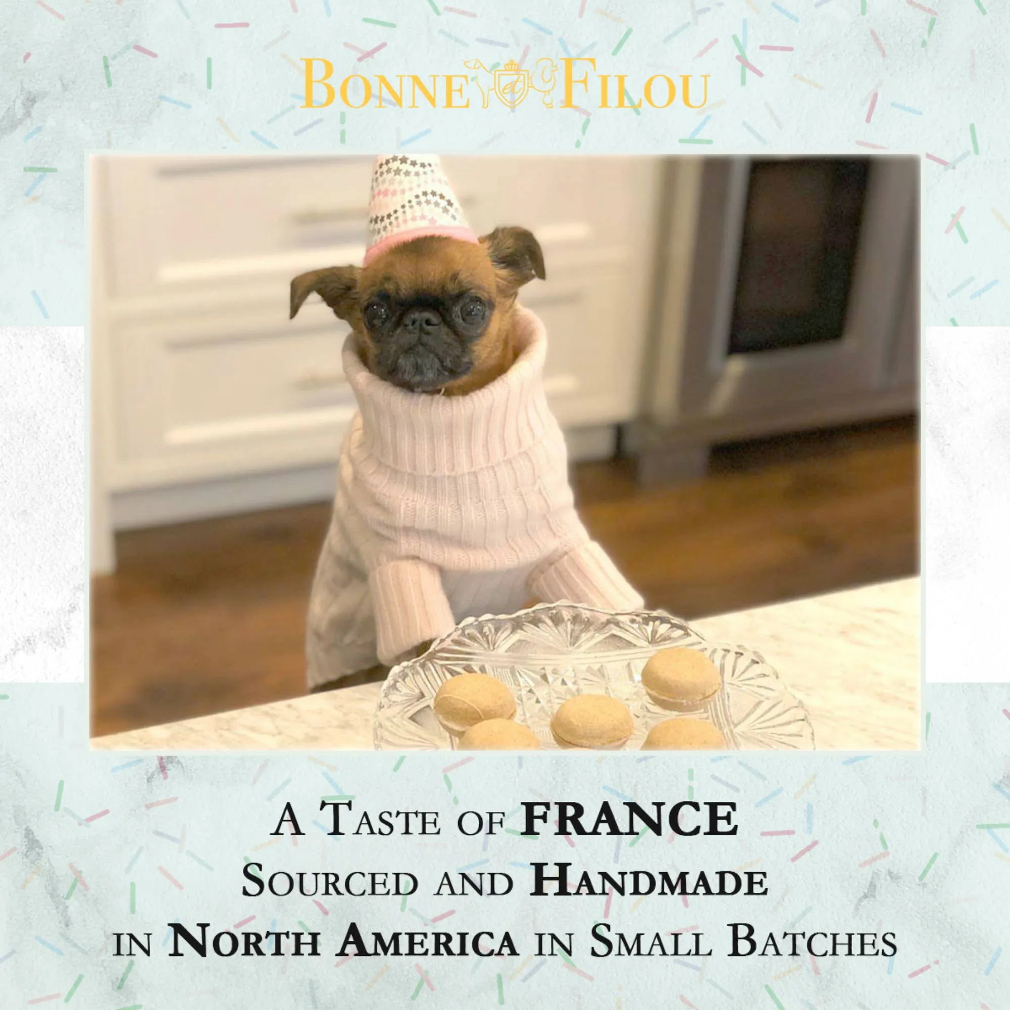 BIRTHDAY CAKE MACARON DOG TREATS