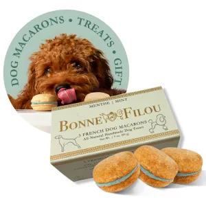BIRTHDAY CAKE MACARON DOG TREATS