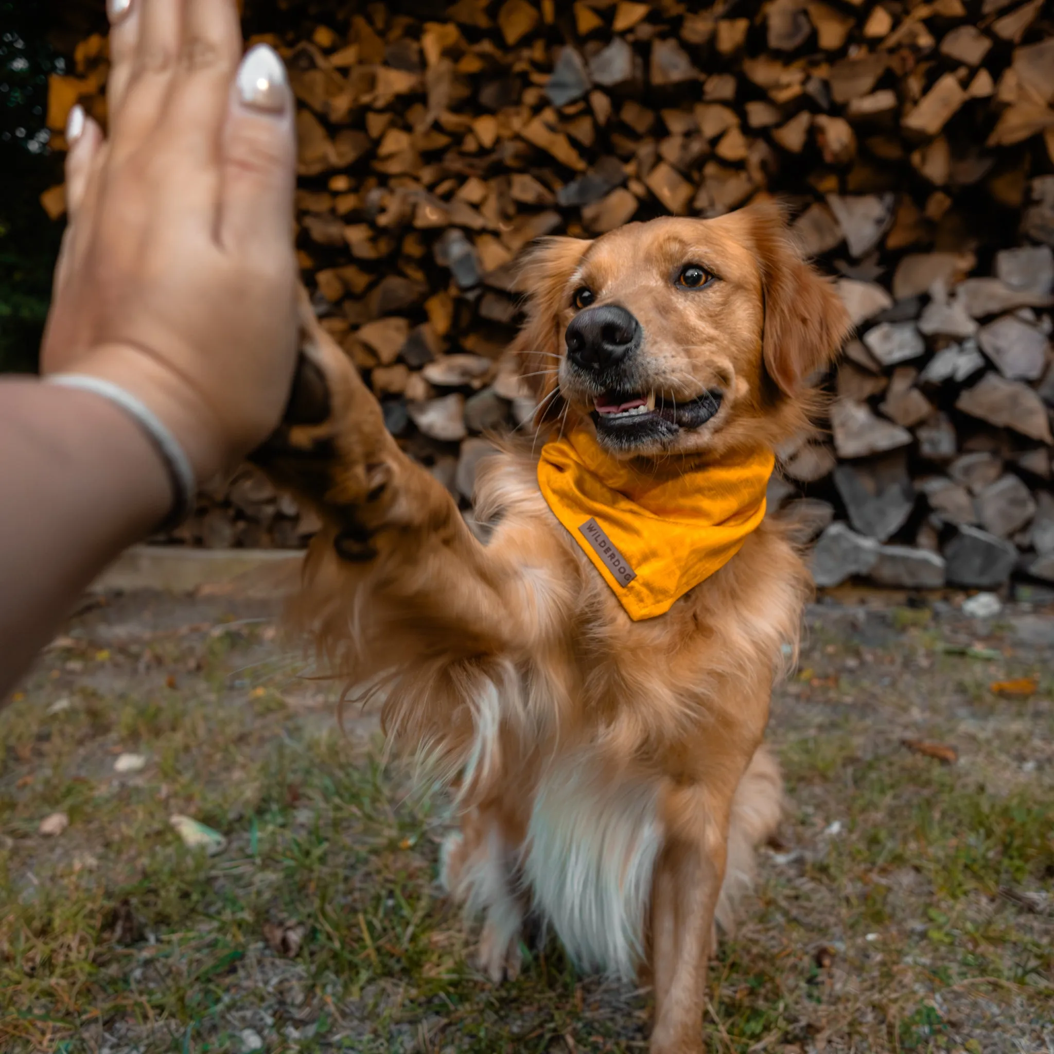 Mustard Bandana