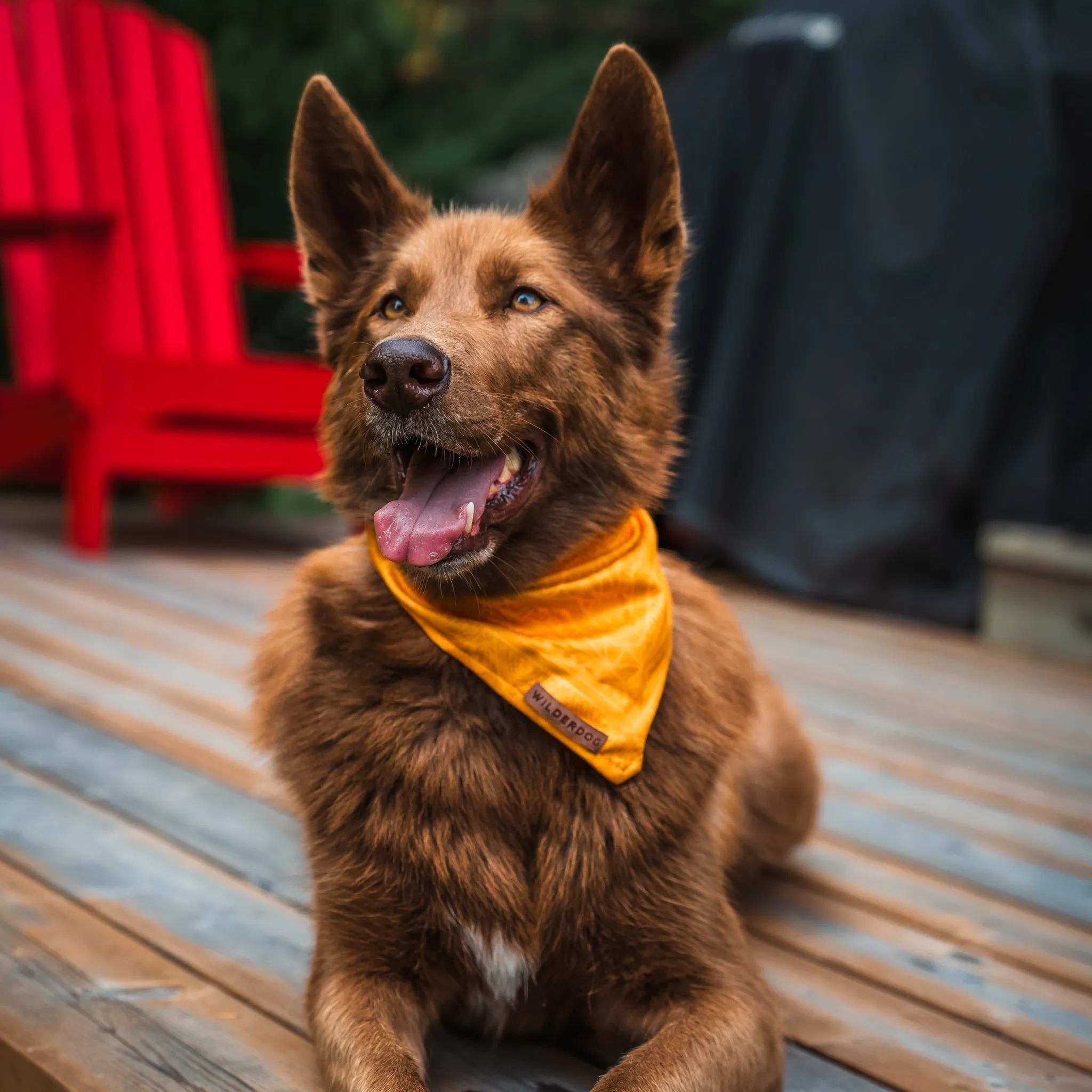 Mustard Bandana