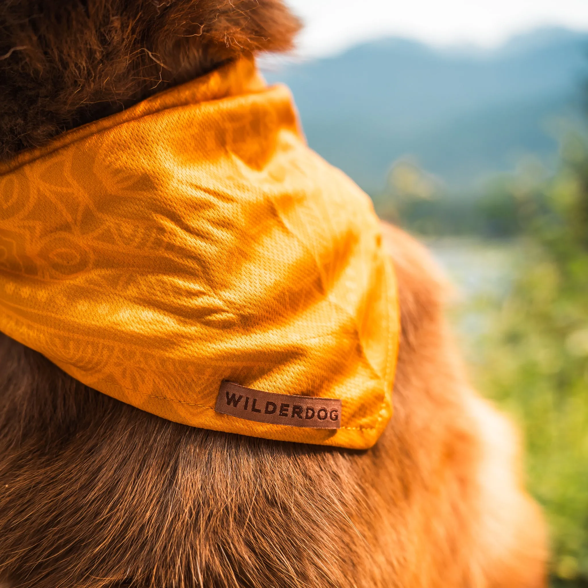 Mustard Bandana