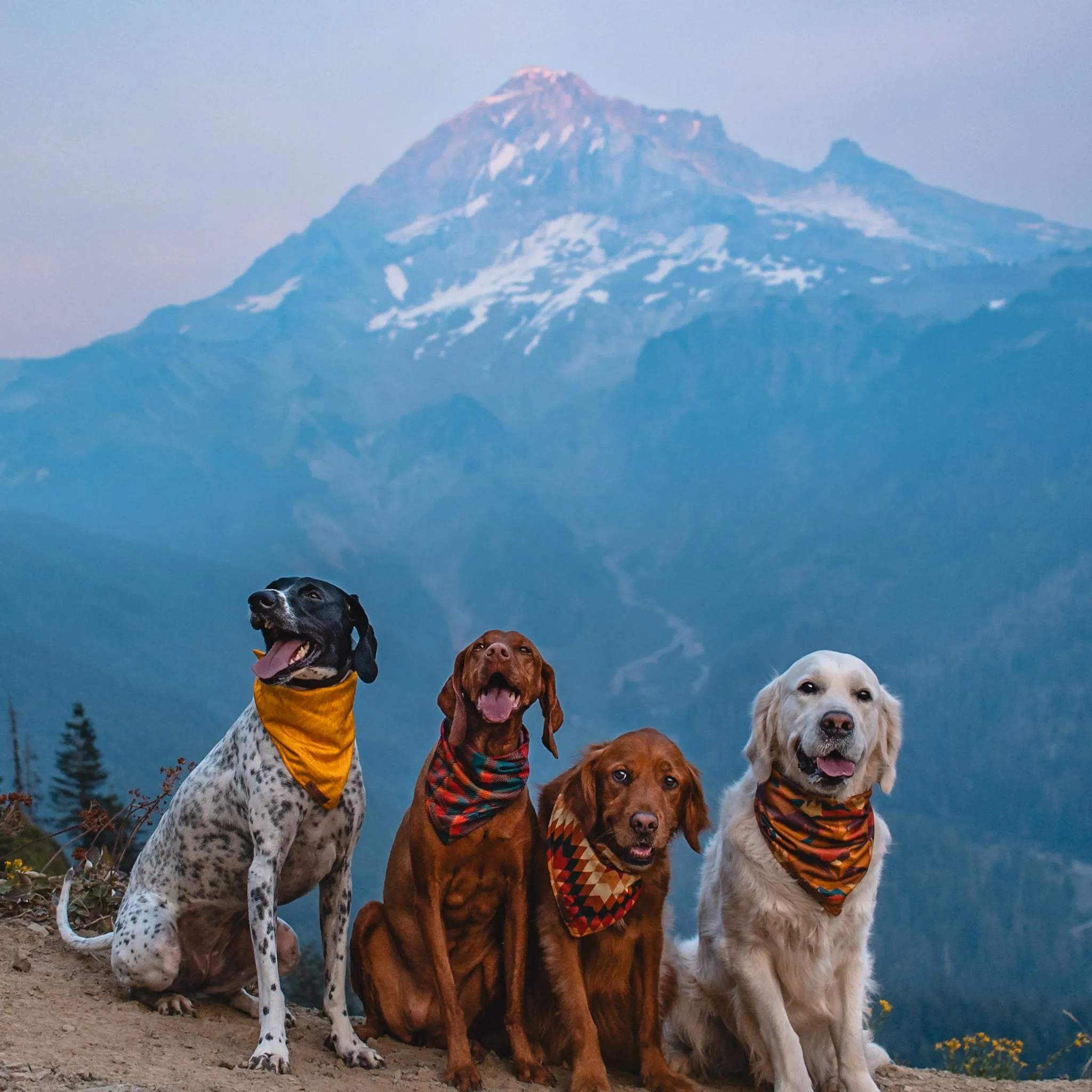 Mustard Bandana