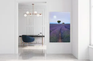 "Lavender Eve" | Nature Photography Print