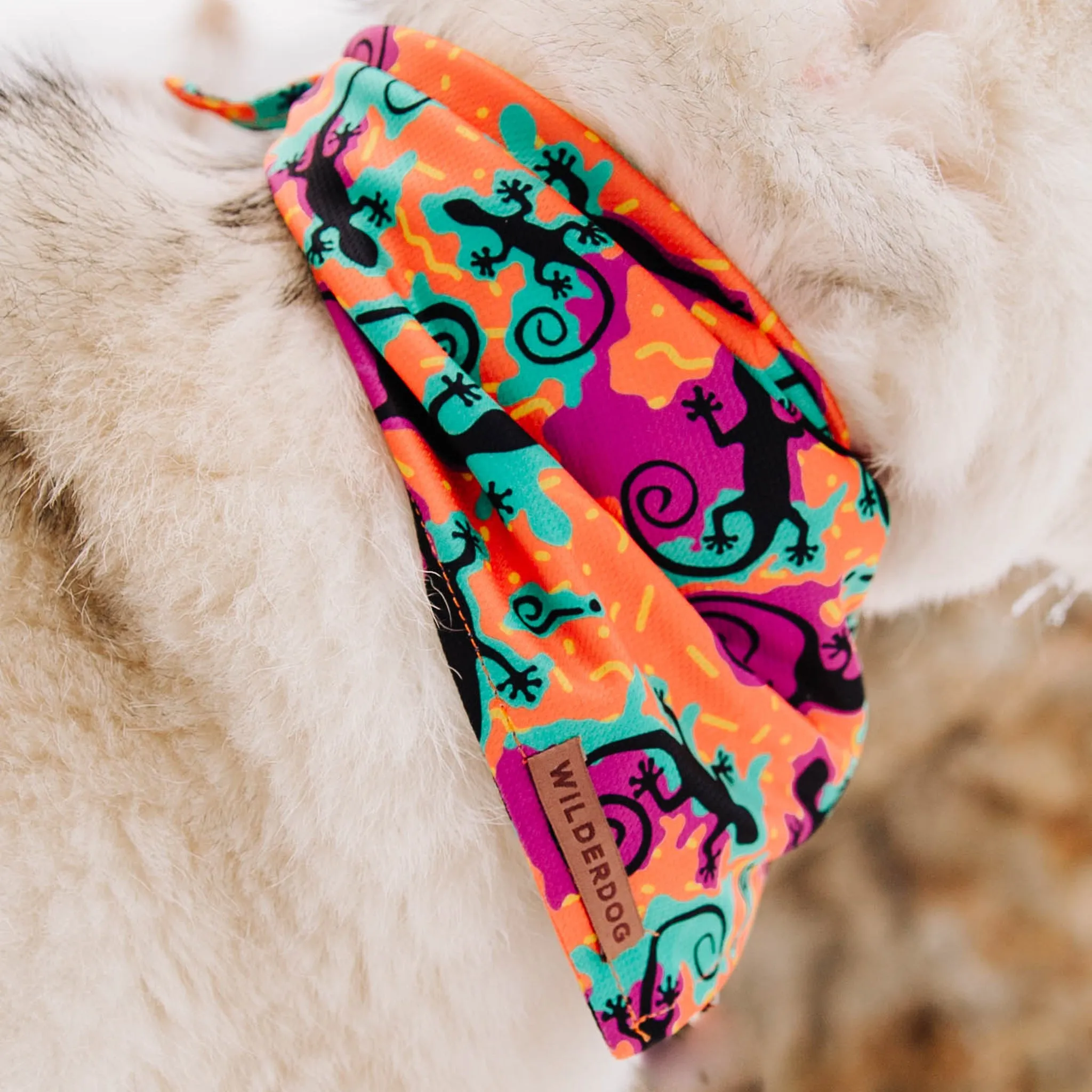 The Lizards Bandana