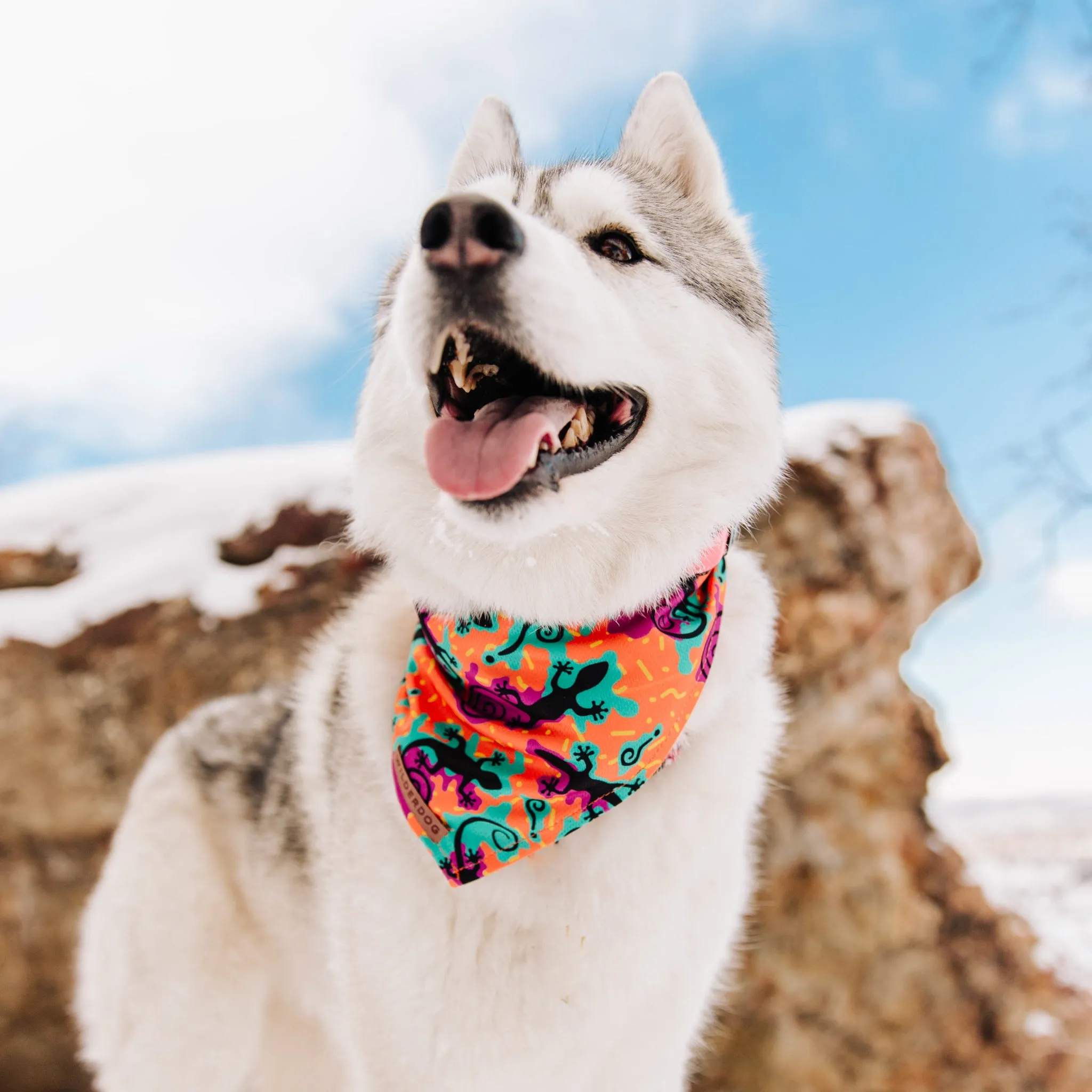 The Lizards Bandana