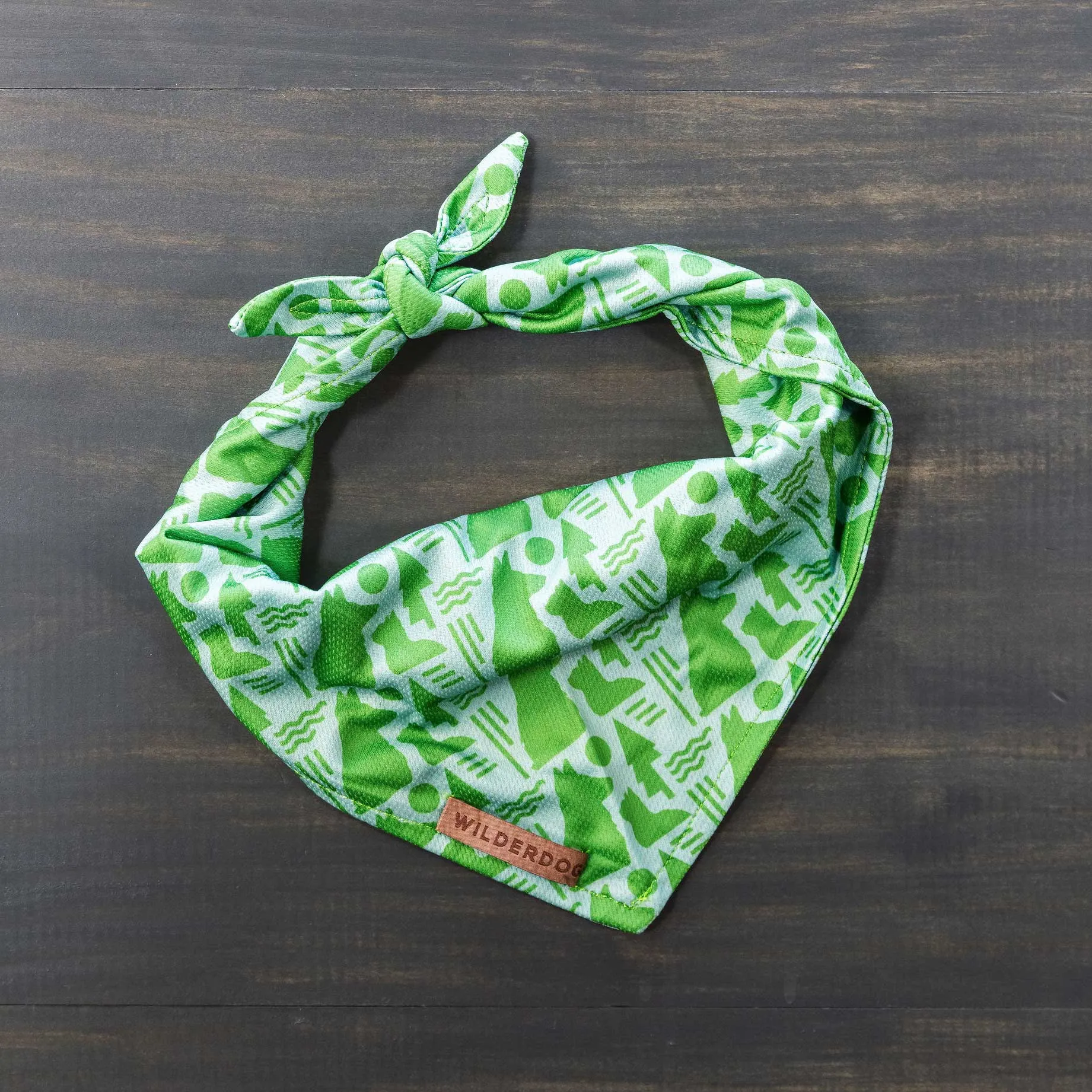 The Pet Network Bandana